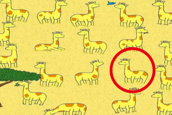 Only sharp eyes can spot 1 out of 20 giraffes without a twin in 10 seconds in this safari landscape
