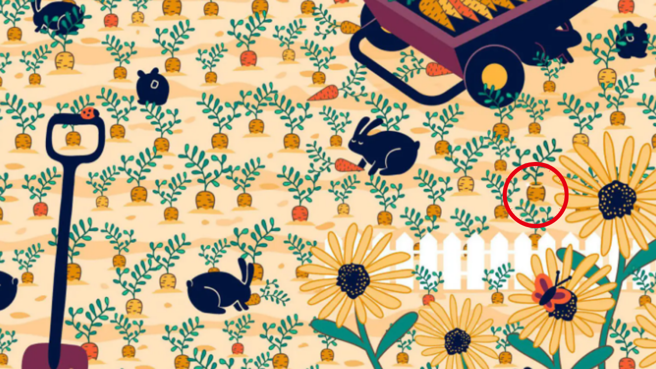 Find the diamond ring hidden among piles of carrots and bunnies; You are a genius if you spot it in a minute!