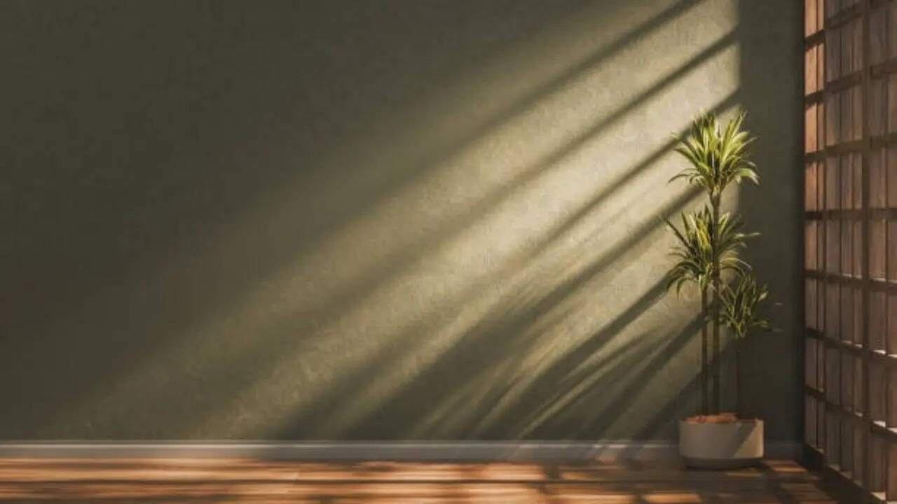 7 plants that can survive without sunlight
