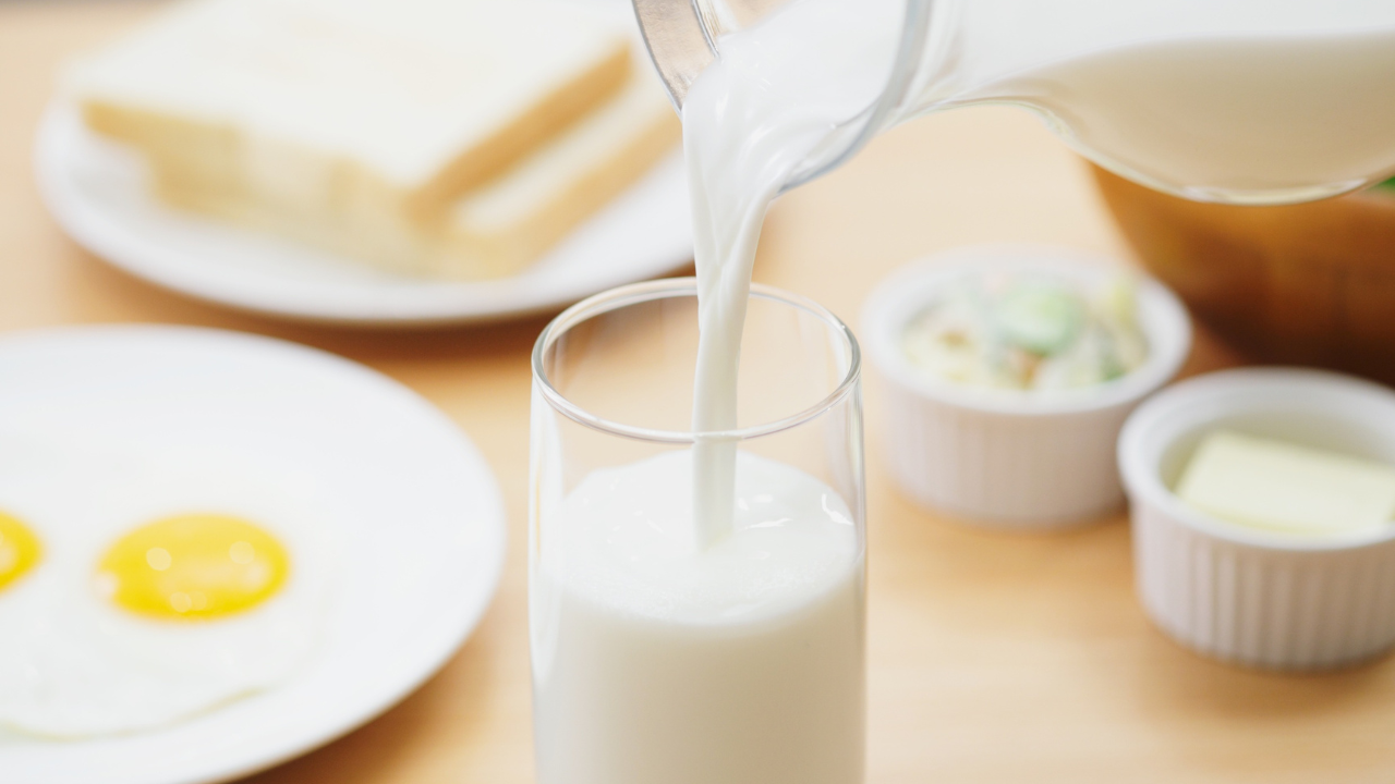 Which type of milk has the most protein? 7 milk varieties compared