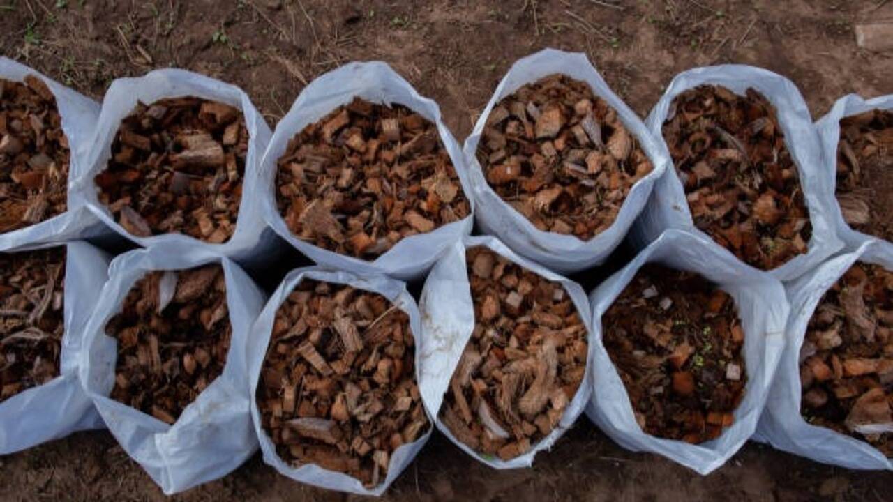 5 practical uses of coconut shell
