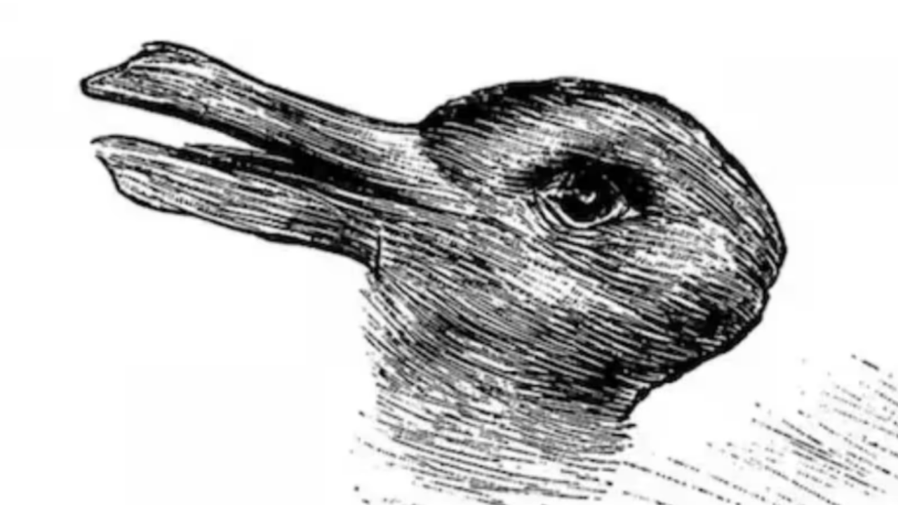 What you spot in the first 5 seconds reveals your true nature