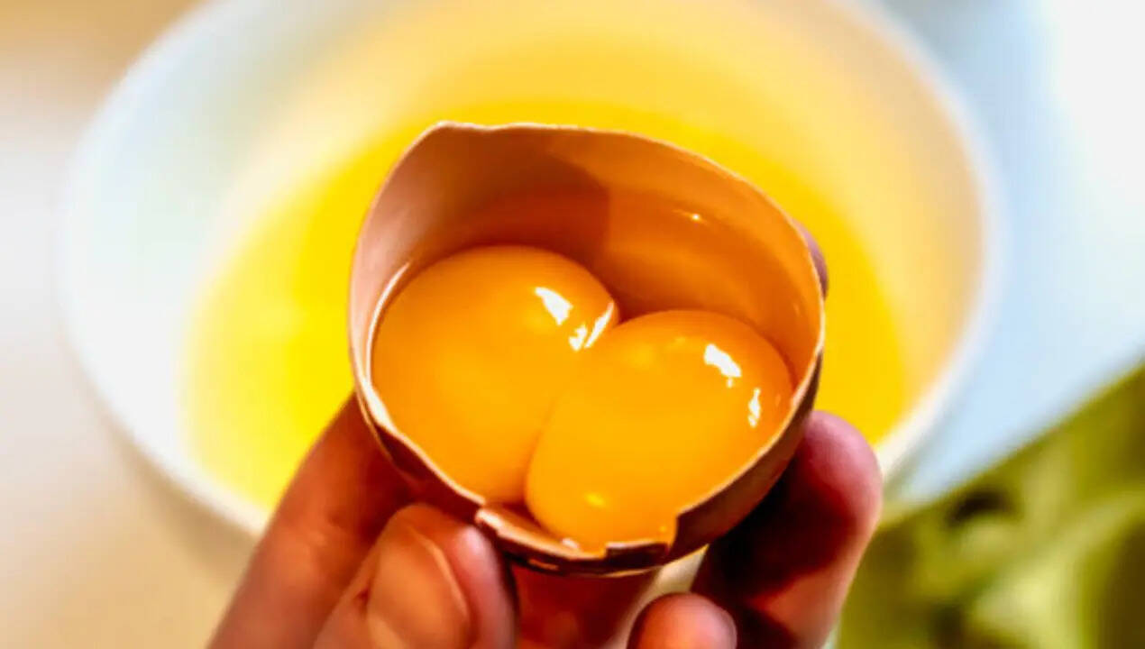 Why do some eggs have double yolks? The science behind it explained
