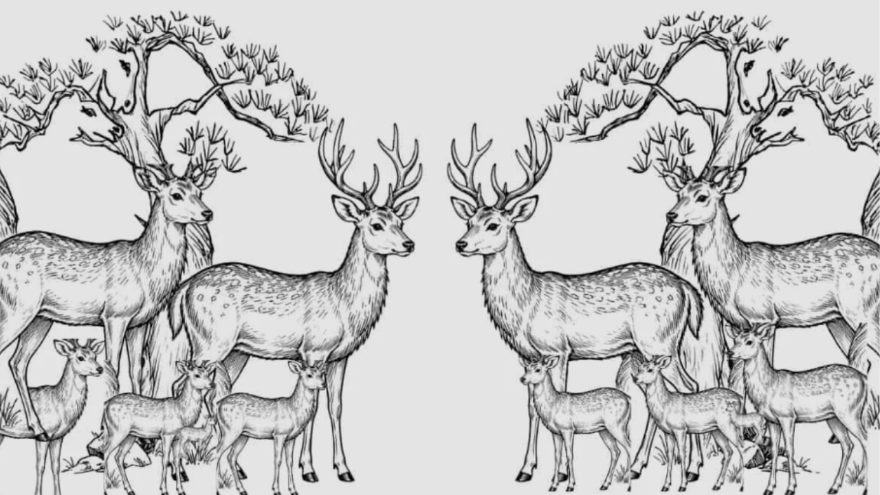 Only sharp-eyed people can find all the hidden deer in this image within 11 seconds