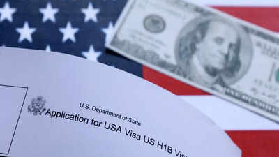 A visa application, a ‘fake’ degree and a trail of borrowed wealth | Delhi News