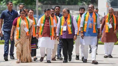 'Grassroots outreach, youth connect': BJP sharpens poll strategy for 7 states | India News