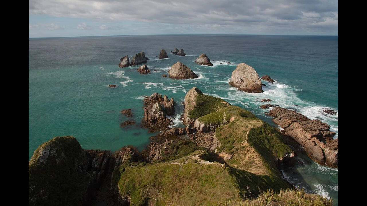 In 1951, an English couple moved with four children to a roadless Tasmanian island for a different life; they stayed 55 years, and 7,400 hectares became protected | World News