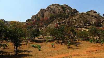 Oldest evidence of life on Earth has been discovered in India: A 3.4 billion-year-old layered rock shows signs of microbial life
