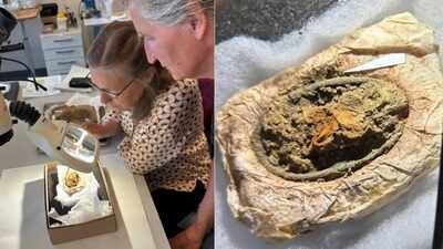 Viking Textile Fragments: Rare textile fragments have survived for around 1,300 years inside a Viking woman’s Danish grave because metallic salts released by two brooches inhibited microbes that would normally destroy the cloth
