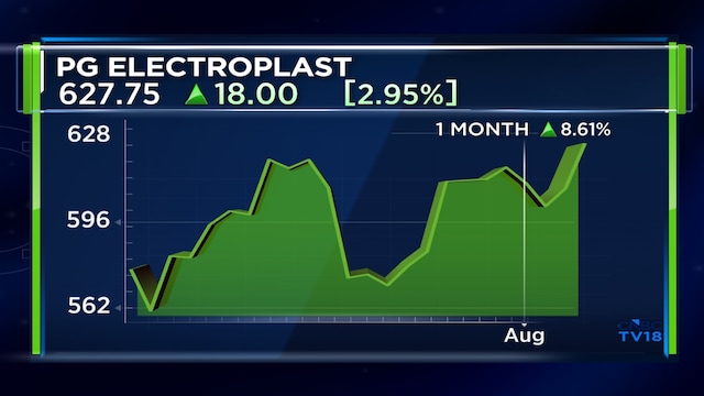 PG Electroplast shares spike after earnings concall with analysts