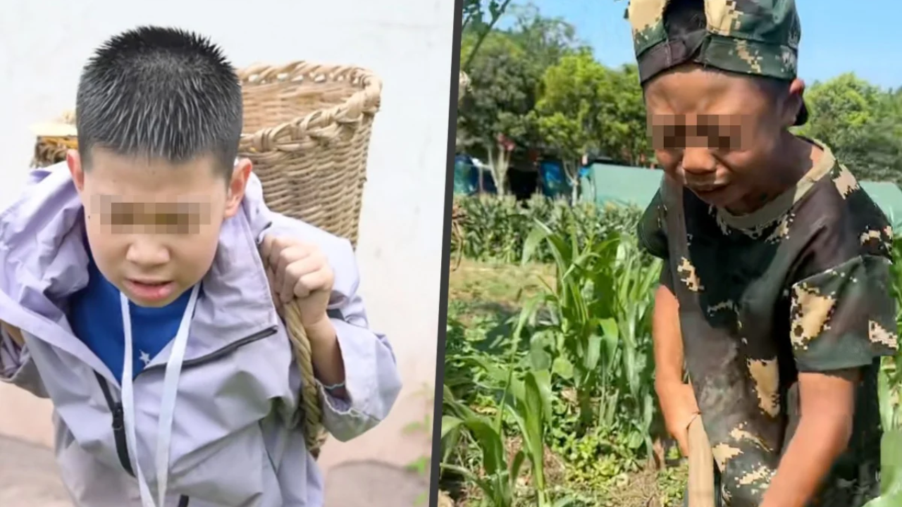 Parenting Trends In China: Why are Chinese parents paying thousands of yuan for ‘hardship camps’ where their kids chop wood, feed pigs and work on farms; some seen crying in viral clips