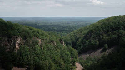 Much of Sweden's Söderåsen plateau became more open in the 18th and 19th centuries; in 2001, 1,625 hectares were protected as a national park, and today it is one of northern Europe's largest continuous protected broadleaf forests