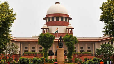 ‘Shouldn’t govt give employment?’ Supreme Court stays HC order on jobs for Karur stampede victims' kin