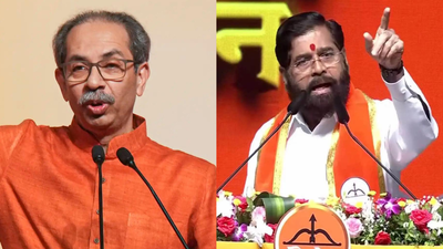 'Party constitution shifted from democratic principles to a one-person structure': SC in 'real' Shiv Sena case | India News