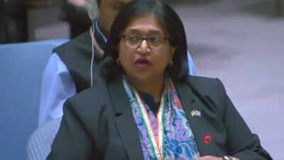 ‘Membership must not be used to legitimise terrorists’: India seeks transparency in UNSC | India News