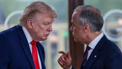 Trump vs Carney: Cars, homes, booze and more caught in US-Canada tariff war