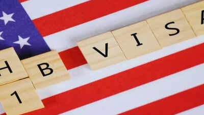 H-1B loses 60-day grace period as White House office appoves plan: Indian-American entrepreneur says big tech won't lobby against it