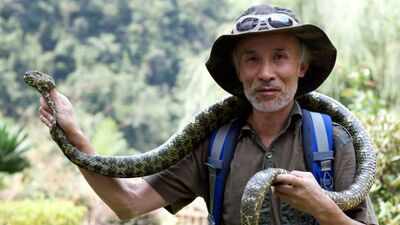 China’s ‘Snake Doctor’ continues conservation work for a rare viper, despite 9 snake bites, divorce threat from wife and even after losing a finger |