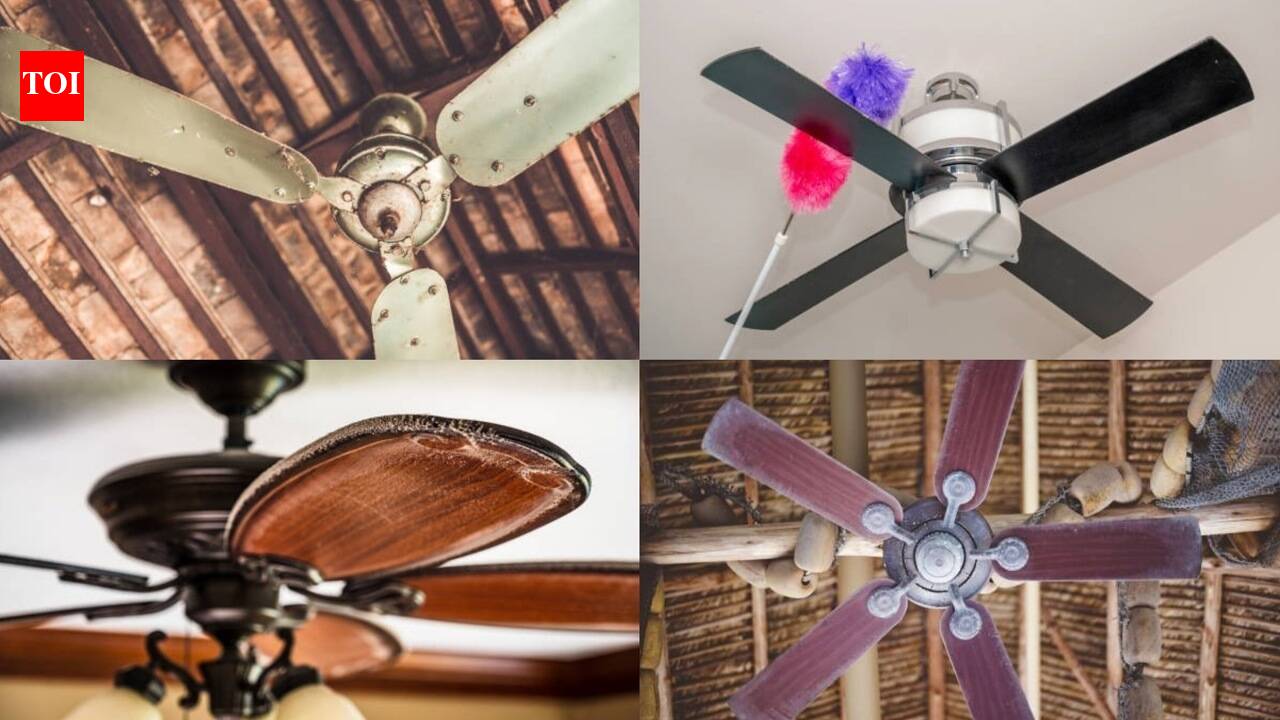 Cleaning Ceiling Fan Blades: How to clean ceiling fan blades without a ladder: Easy and safe ways to remove dust