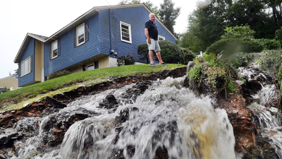 In 1999, scientists dropped 45 tons of wollastonite over a 29-acre New Hampshire watershed to replace calcium lost to acid rain; by 2013, it was exporting 30 times more inorganic nitrogen than nearby watersheds