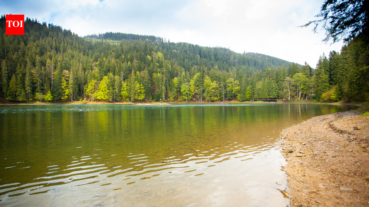 After 1949, China increased its forest cover from 10% to 25%; the planting boom greened the land but shuffled its water around, and it's quietly losing water from the wrong places |