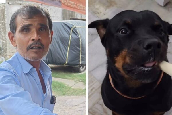 Watch: Why this Jaipur kulfi seller is making special sugar-free kulfi just for dogs |