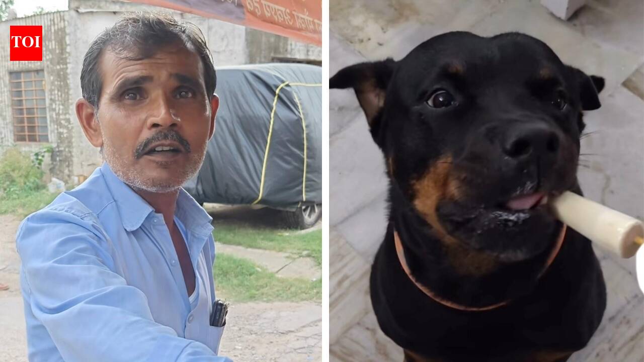 Watch: Why this Jaipur kulfi seller is making special sugar-free kulfi just for dogs |