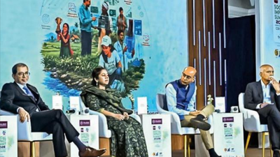 Tech could bridge edu divide if personalised, won’t replace teachers | India News