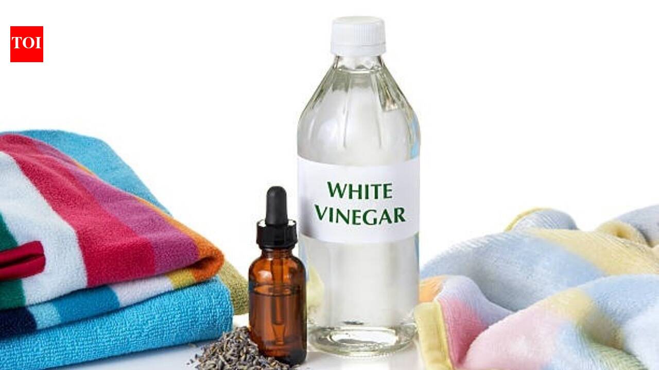 White Vinegar Laundry: White vinegar for laundry: How this simple home hack can help keep clothes fresh, clean and odour-free