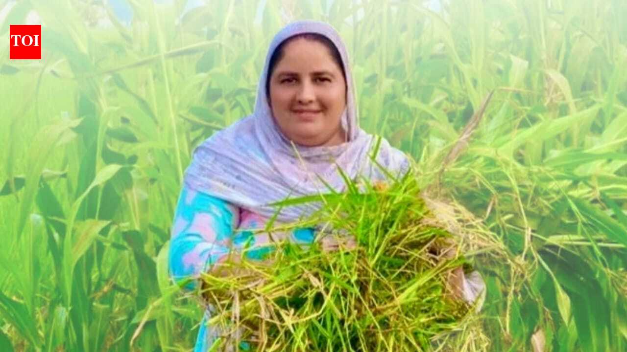 Mandeep Kaur Khaira: From half an acre to 40: How a Moga woman turned mockery into an Rs 80 lakh farming enterprise