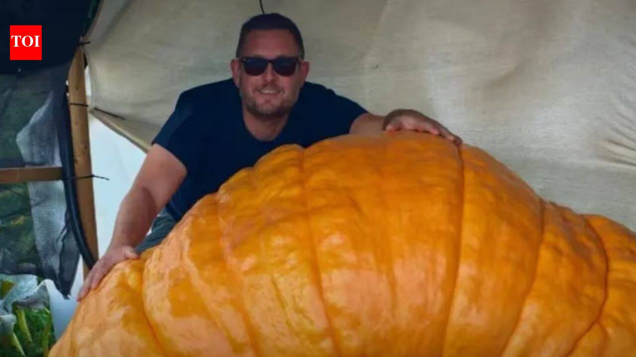 Essex gardener grows 1,200lb pumpkin named Gladys that gained more than 40lb in a single night: ‘Feels like a father’ to giant vegetable