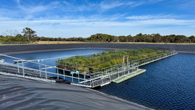 In 2023, Australia put a 330-square-metre floating wetland on a wastewater lagoon; two years later researchers found methane emissions had fallen by up to 66%