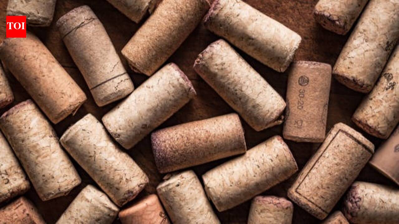 Gardening Hack: Why are gardeners putting corks in their potted plants? The surprising reason behind this gardening hack