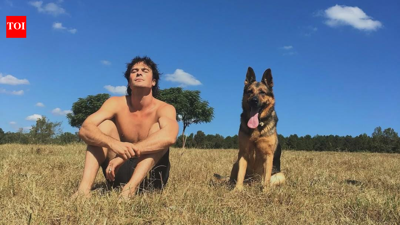 In 2019, Ian Somerhalder upended his Hollywood life and moved to a farm, embracing simpler times compared to the glitz and glamour of riding the success of 'The Vampire Diaries' |