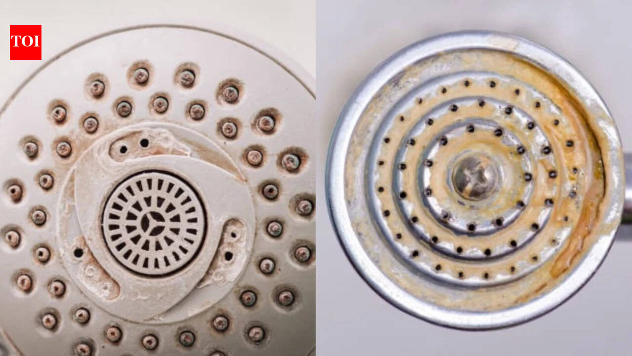 Limescale Removal: Neither vinegar nor baking soda: The simple cleaning trick that can remove limescale from shower holes and help restore water pressure