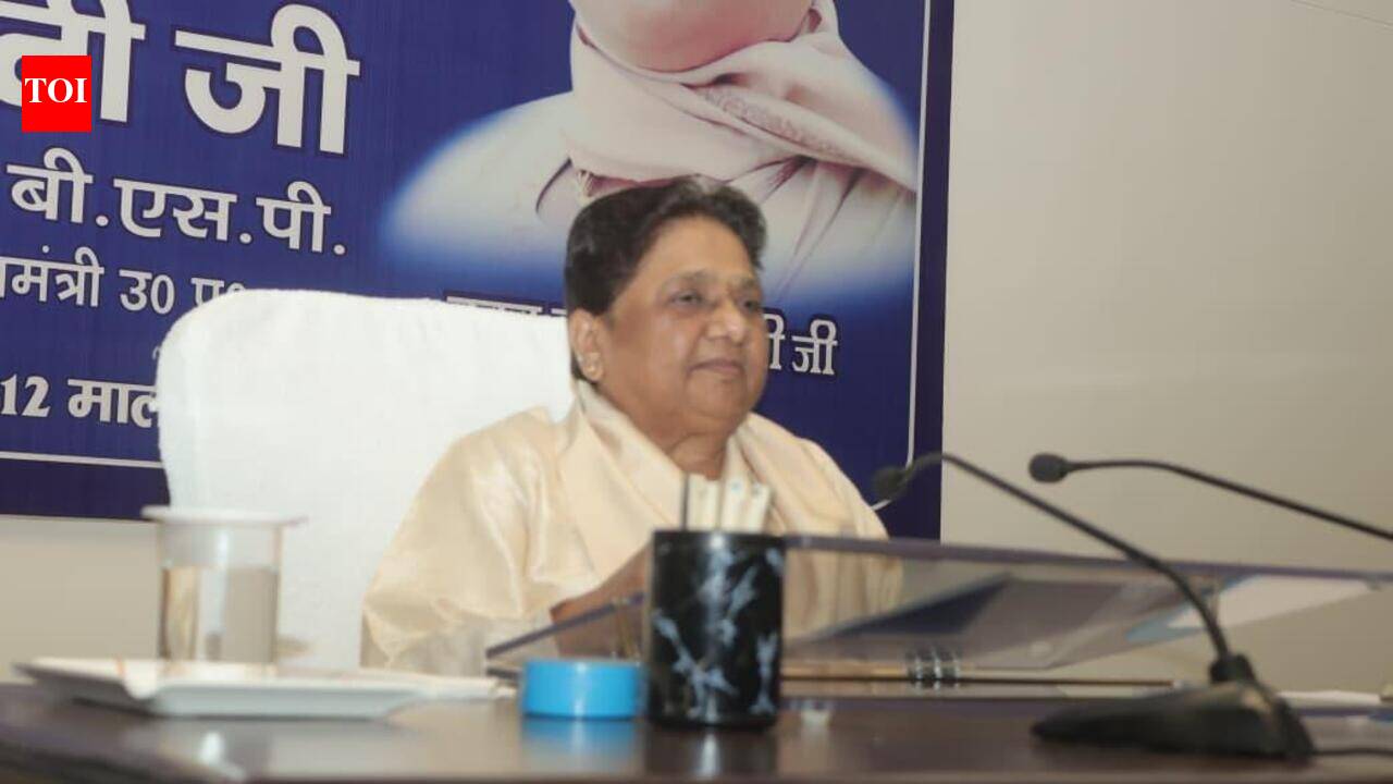 Maya refutes illness claims, appears before media to dispel doubts | Lucknow News