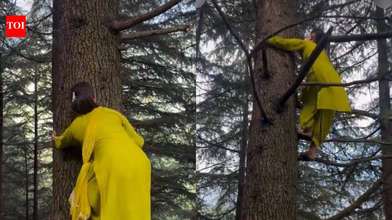 Content creator Pooja Guleria’s tree-climbing video catches attention online; internet praises her effortless agility
