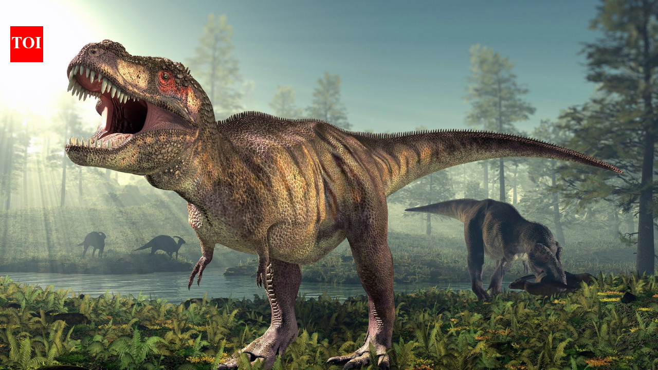 T. rex wasn't always running: Scientists found 66 million years old the first-ever footprints of a fully grown T. rex, and they reveal how it really moved |