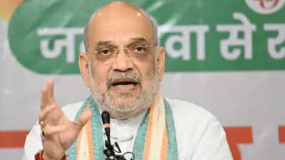 On Shah's UCC claim, 3 BJP allies sound caution | India News