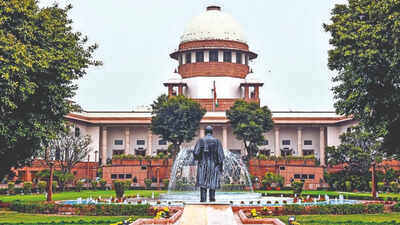SC junks ex-Delhi mayor's plea for FIR on UP cops | India News