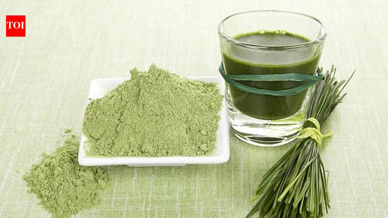 Wheatgrass Powder Benefits: Wheatgrass powder: Potential benefits, how to use it and what you should know before adding it to your diet