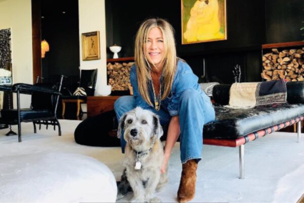 Jennifer Aniston Home Decor Ideas: Jennifer Aniston's living room is a 'modern- mid century' abode where old meets the new: 5 decor inspirations to take away