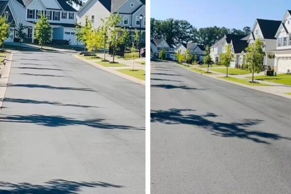 Indian woman in US shares 9 am street video, says ‘you will get everything except people’ |