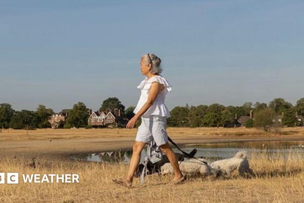 UK weather: Sunshine returns as warmer and drier weather arrives next week