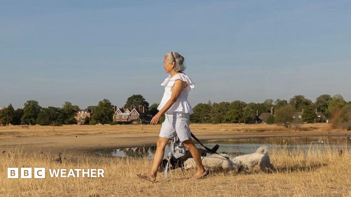 UK weather: Sunshine returns as warmer and drier weather arrives next week