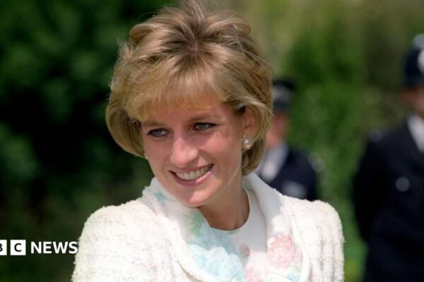 Charles 'sounded giddily elated' after Diana died, Earl Spencer claims