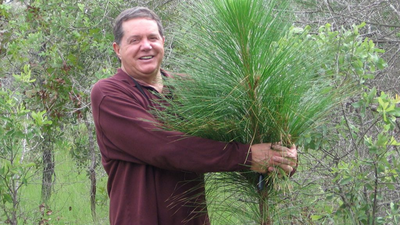 A man bought 51,000 acres of degraded land in Florida; decades later, it became the largest private restoration project east of the Mississippi