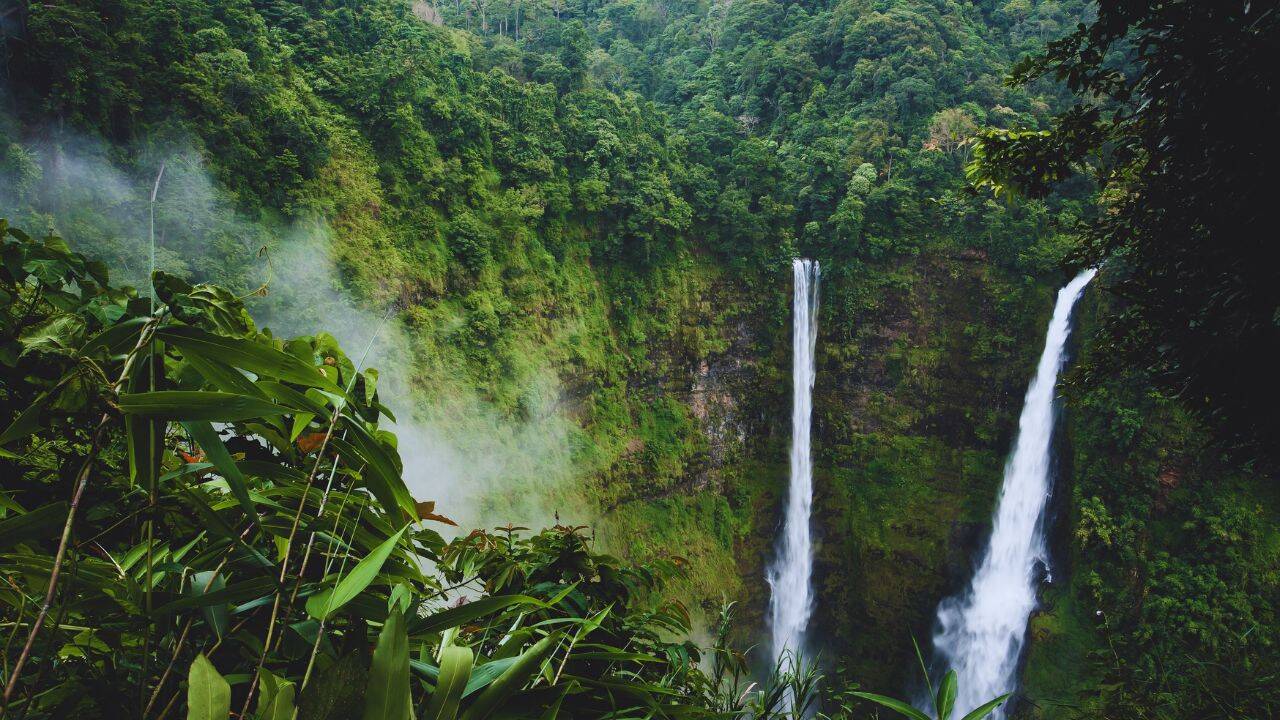 Giant snake falls on man carrying child at Amboli waterfall in Maharashtra; tourists scream, “Run, it’s a very big cobra”: watch |