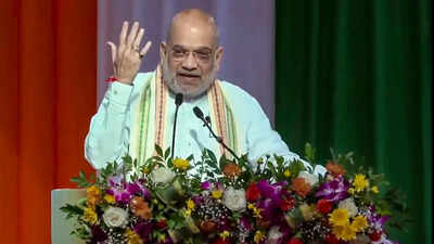 'Took 80 years to restore full glory of Vande Mataram': Amit Shah | India News