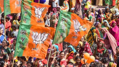Rajasthan Local Body Elections: 'Someone from that ward voted for me': BJP candidate gets 1 vote in Rajasthan local body polls | India News